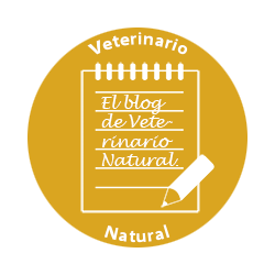 blog-dorado