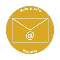correo-dorado