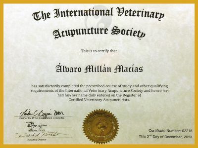 titulo-ivas-3